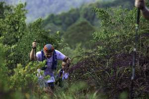 BIB: 
                            <button type="button" onclick="openModal(24763826)" class="btn btn-primary btn-sm float-right btn-popup" data-toggle="modal" data-target=".modal-high-quality">
                        <i class="fas fa-shopping-cart"></i> Add to Cart
                    </button>
                                            <button type="button" onclick="isThisMe(24763826, true)" class="btn btn-success btn-sm float-right btn-popup btn-isme hidden" data-toggle="tooltip" data-placement="bottom" title="นี่คือรูปของคุณใช่ไหม คลิกที่นี่เพื่อเอาเข้าอัลบั้ม">
                        <i class="fas fa-plus"></i> Add to album
                    </button>
                    <button type="button" onclick="isThisMe(24763826, false)" class="btn btn-warning btn-sm float-right btn-popup btn-isnotme hidden">
                        <i class="fas fa-ban"></i> Remove from album
                    </button>